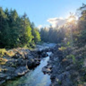 Meet your Posher, Dylan